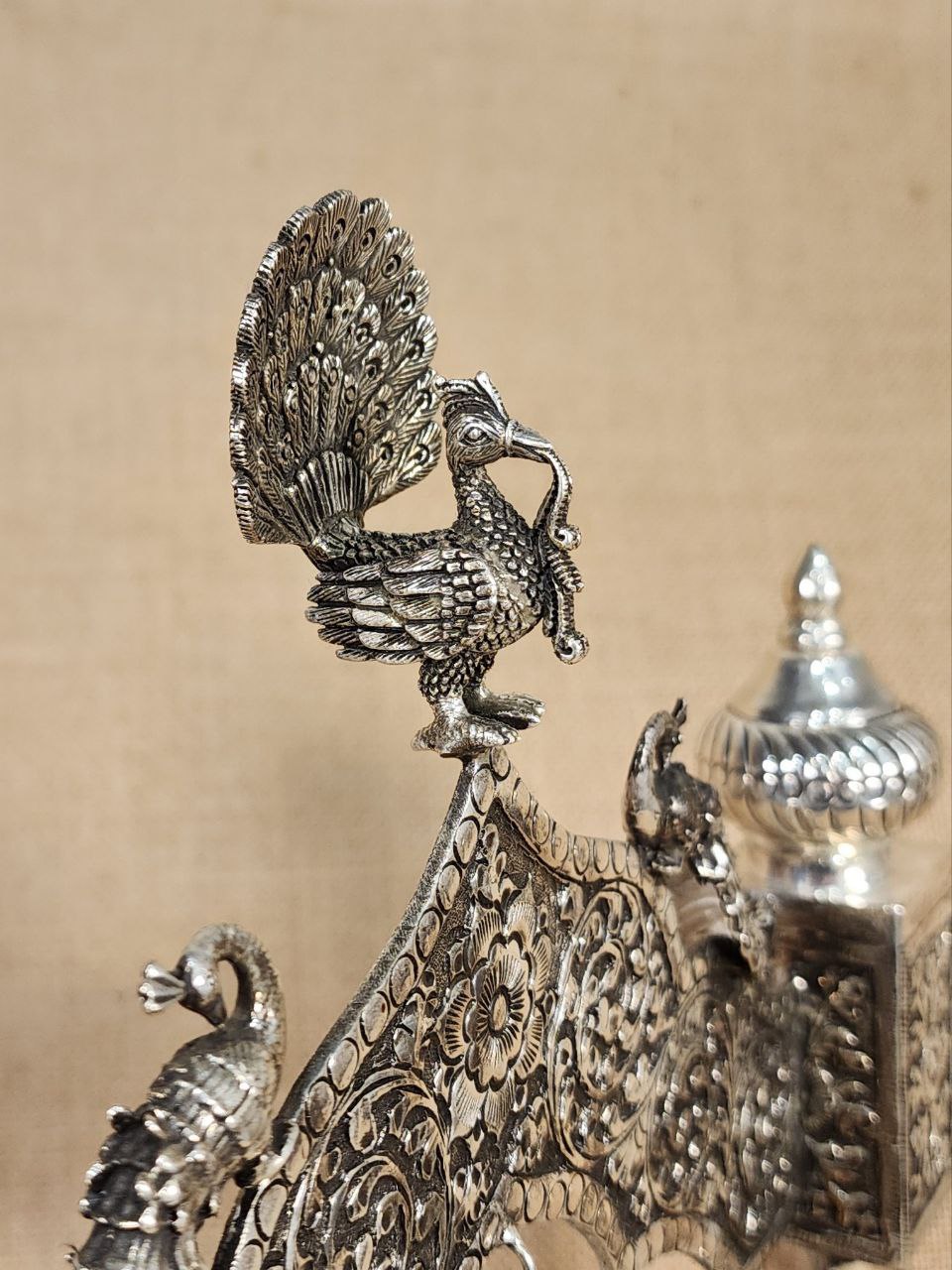 Divine Jhulla (Aa1452)