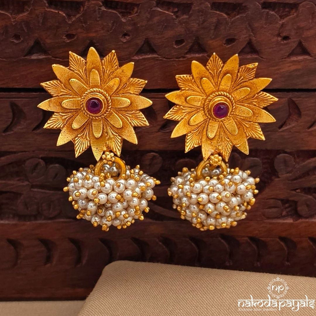 Elegant Bellimoda Earrings (Ge11022)
