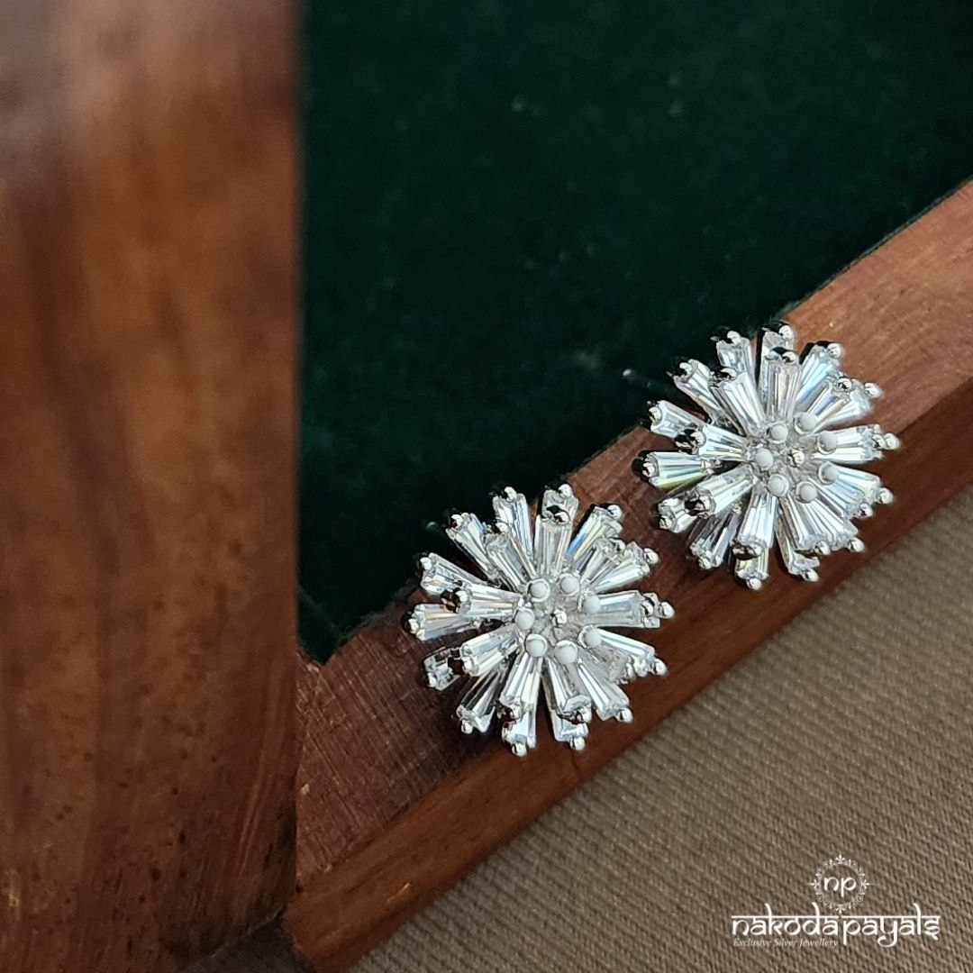 Sparkling Earrings (St3623)