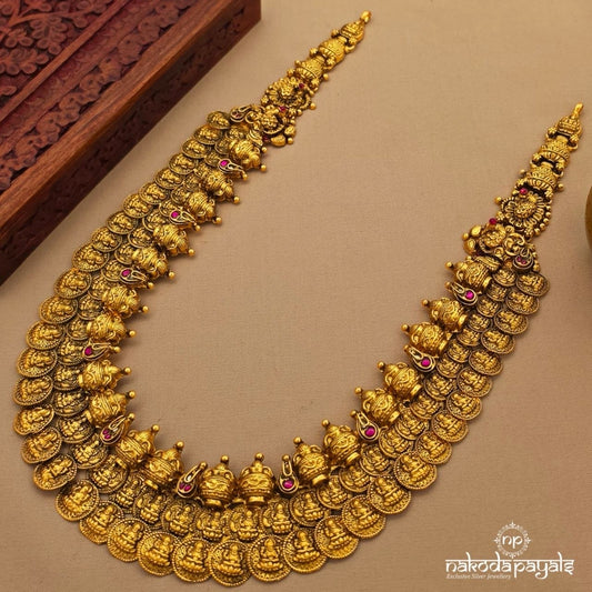 Traditional Kasu Neckpiece (Gn10425)