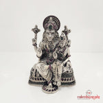 Stupendous  Lakshmi-Narasimha Idol (Aa0576)