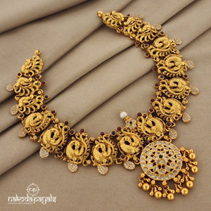 Nakshi Peacock Bright Neckpiece (Gn6798)