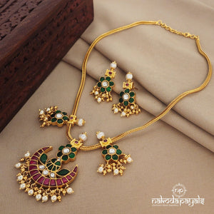 Kundan Half Moon with Floral Short Neckpiece with Earrings (Gn1155)