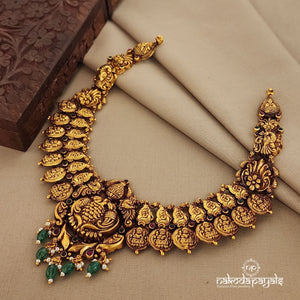 Light weight Coin Neckpiece (Gn7478)