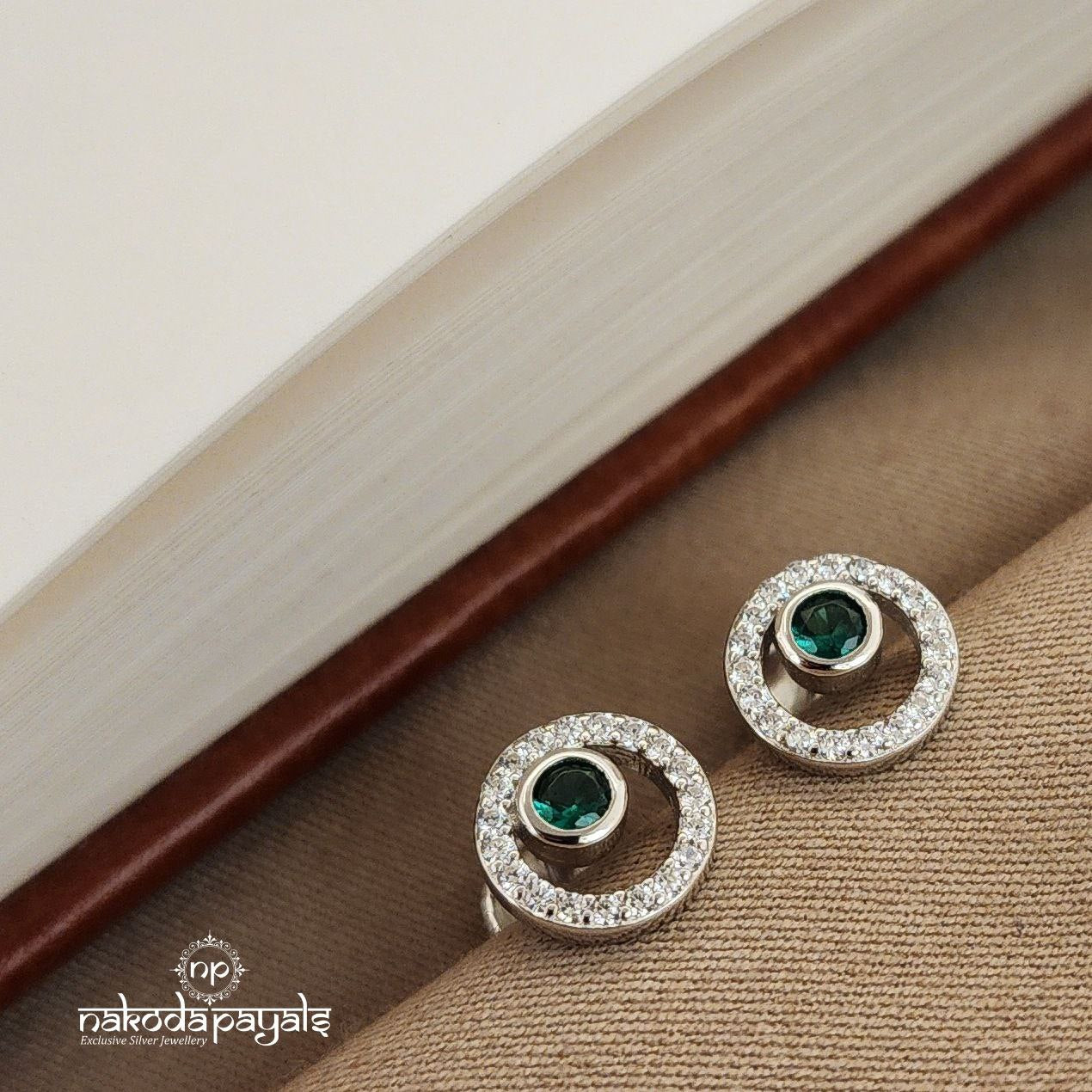 Stunning Earrings (St2586)