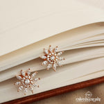 Gorgeous Flower Earrings (St2603)