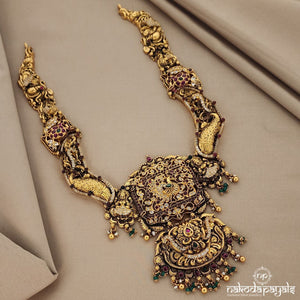 Captivating Peacock Neckpiece (GN5956)