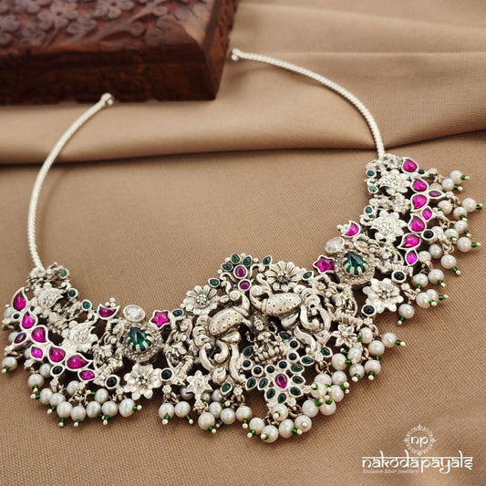 Glorious Pearled Hasli (N11442)