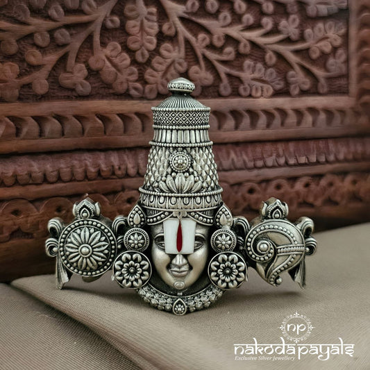Venkateshwara Idol (Aa2568)