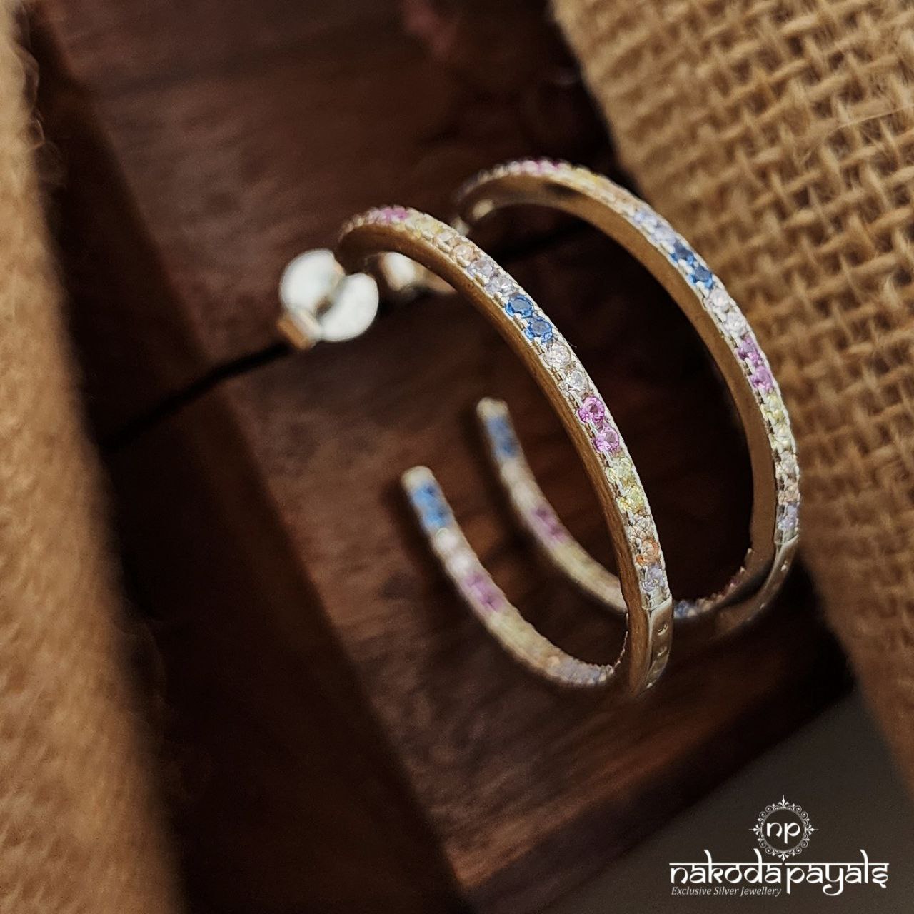 Stylish MultiColor Earrings (St3317)