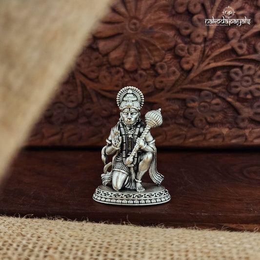 Blessing God Hanuman Idol (Aa1597_99)