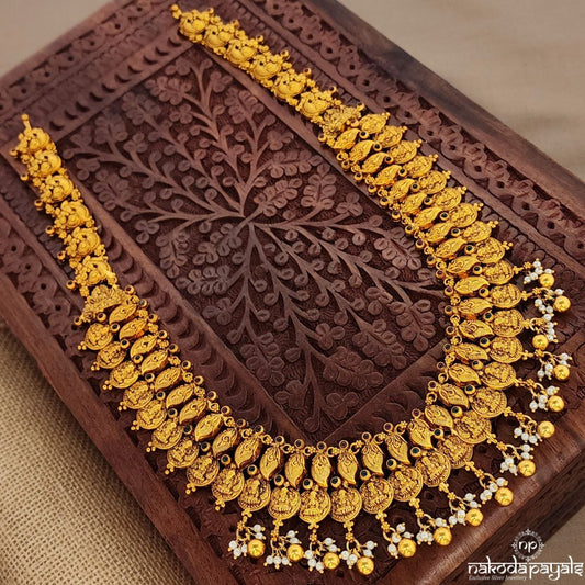 Leafy Lakshmi Coined Neckpiece  (Gn9425)