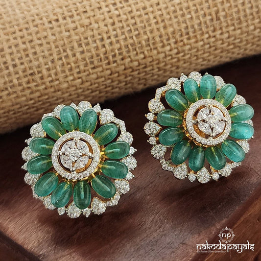 Eye Catching CZ Earrings (Ge9788)