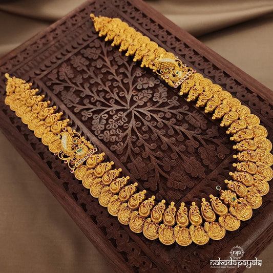 Lakshmi Kasu Neckpiece (Gn9163)
