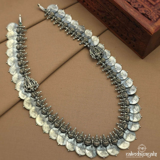 Elegant Lakshmi Kasu Neckpiece (N11627)