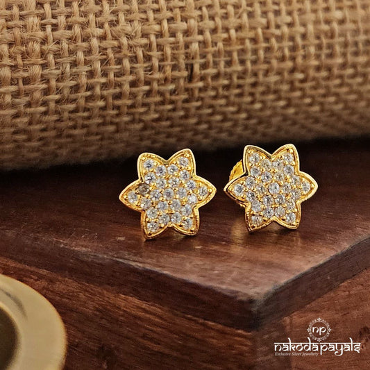 Star CZ Studs (Ge9965)