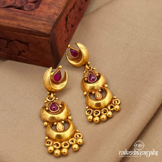 Elegant Earrings (Ge10825)