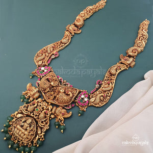 Gracious Long Curvey Neckpiece